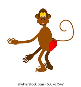 hamadryad isolated. monkey red butt on white background.
