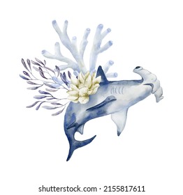 Hammerhead Shark And Coral. Watercolor Illustration.