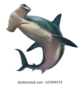 Hammerhead Shark On White. Realistic Isolated Illustration.