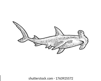 Hammerhead Shark Sketch Engraving Vector Illustration Stock Vector ...