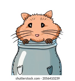 Hamster Stuck In A Jar. Cartoon Style Illustration.