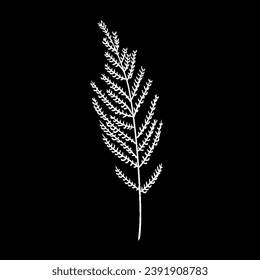 Han drawn outline leaf logo,background 