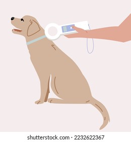 A hand with a device for finding a chip in a dog. Chipping a dog. Veterinarian searching for information about the Labrador . - Powered by Shutterstock