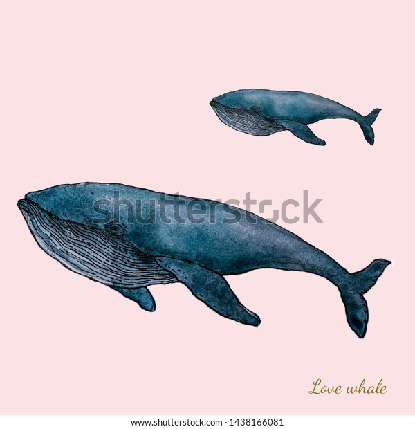 Hand Draw Blue Whale Watercolor Whale The Arts Animals Wildlife