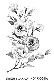 Featured image of post Flower Design Pencil Sketch : Peacock painting colorful elegant sketch blooming flowers decor.