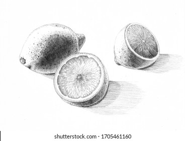 Featured image of post Simple Way to Pencil Vegetables And Fruits Drawing