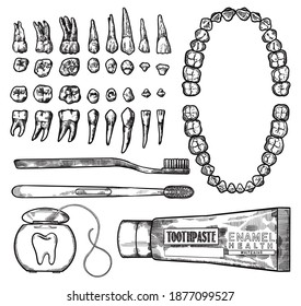 Hand Drawing Lineart Engraving Dental Cleaning Tools And Teeth Illustration Set