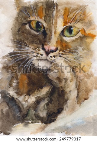 Hand drawing painting watercolor of cat  portrait