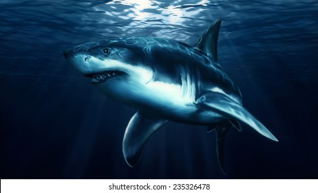 Hand Drawing Sea Predator Shark