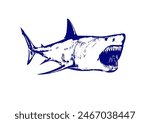 Hand drawing or sketch of the great white shark isolated in white background