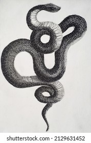 Hand Drawing Of Snake In Black And White Tattoo