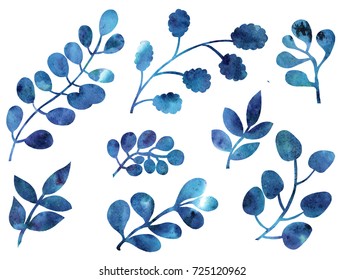 Hand Drawing Watercolor Blue Leaves Ornament
