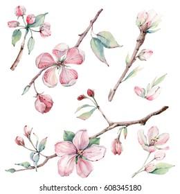 Hand Drawn Apple Tree Branches Flowers Stock Illustration 608345180