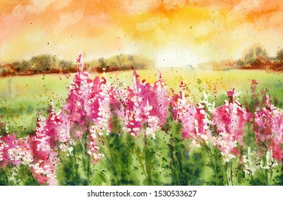 Fleurs Des Champs Aquarelle Images Stock Photos Vectors Shutterstock