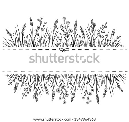 hand drawn background with floral pattern, flowers, herbs, aromatic grass, plants silhouettes, leaves and natural design elements