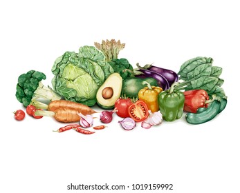 Hand drawn batch of vegetables