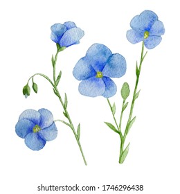 Watercolor Set Flowers Blue Pansies Botanical Stock Illustration ...