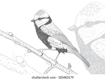 Hand Drawn Bird Stock Vector (Royalty Free) 138245267 | Shutterstock