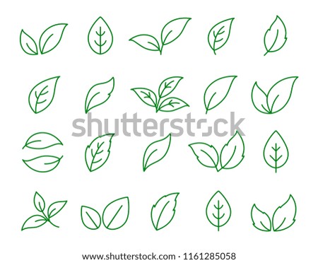 hand drawn botanic set of linear green leaf icons on white background