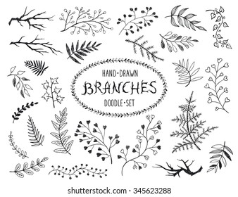 Hand Drawn Branches Collection Set Inc Stock Illustration 345623288