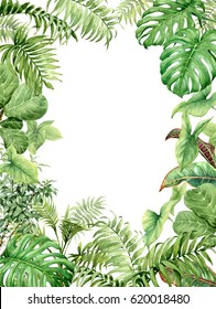 Hand Drawn  Branches And Leaves Of Tropical Plants. Natural Green Background With Space For Text. Watercolor Rectangle Vertical Floral Frame.