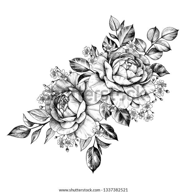 Hand Drawn Bunch Rose Flowers Small Stock Illustration 1337382521
