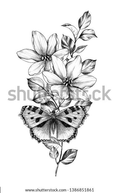 Descubra Mariposa Dibujada A Mano Con Flores Imagenes De Stock En Hd Y Millones De Otras Fotos Ilustraciones Y Vectores En Stock Libres De Regalias En La Coleccion De Shutterstock Se Agregan Miles De Imagenes Nuevas De Alta Calidad Todos Los Dias