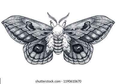 Hand Drawn Butterfly Tattoo Dotwork Tattoo Stock Illustration ...