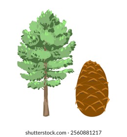 Hand drawn coniferous pine cone tree and cone isolated on white background. Conifer with snow in winter nature outdoor for holiday background. Fir and pine trees for winter Christmas design. - Powered by Shutterstock