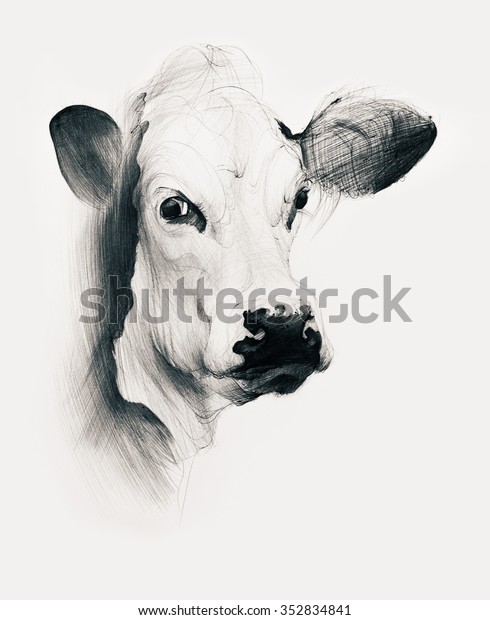 白い背景に手描きの牛 ボールペンの絵 のイラスト素材
