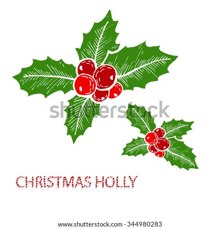 hand drawn decorative christmas holly decorations design elements can be used for cards - Christmas Holly Decorations hand drawn decorative christmas holly decorations design elements can be used for cards - Christmas Holly Decorations