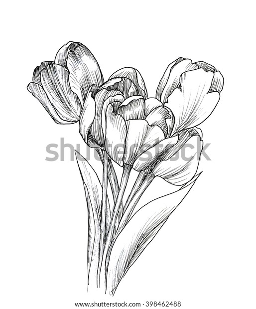 tulip doodle