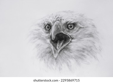 Hand drawn eagle and pencil paper  Eagle head sketch 