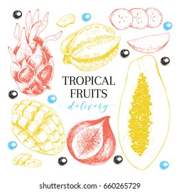  Hand Drawn Exotic Fruits. Engraved Smoothie Bowl Ingredients. Tropical Sweet Food Delivery. Pitaya, Carambola, Papaya, Mango, Fig, Acai. Use For Exotic Restaurant Food Party