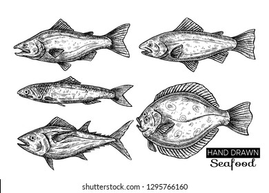 Hand Drawn  Fish.