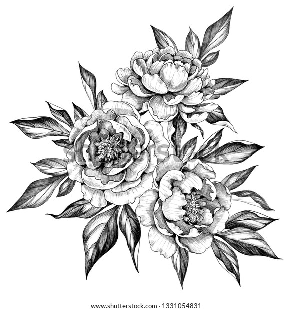 Hand Drawn Floral Bunch Tree Peony Stock Illustration 1331054831