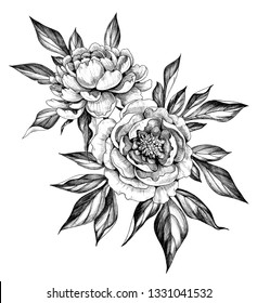 Hand drawn floral bunch with two Peonies and leaves isolated on white background. Pencil drawing monochrome elegant flower composition in vintage style. 