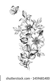 Hand drawn floral composition with dog rose flowers, leaves and flying butterfly isolated on white background. Pencil drawing monochrome elegant illustration in vintage style, t-shirt, tattoo design. 