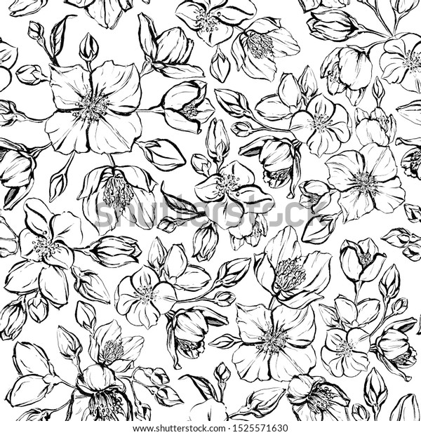 手描きの花柄のジャスミン 白黒のブーケとシンプルな花でセット インクで描いたグラフィックエレメント 花の枝 はがき用 のイラスト素材 1525571630