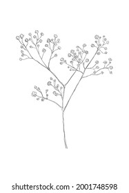 Hand Drawn Flower Pencil Sketch Stock Illustration 2001748598 ...