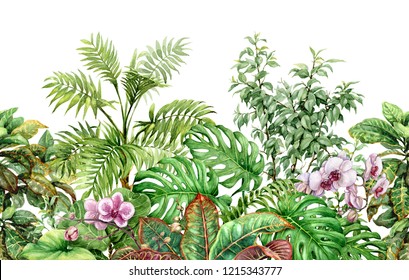 Hand Drawn Flowers And Leaves Of Tropical Plants. Seamless Line Horizontal Pattern Made With Watercolor Exotic Green Rainforest Foliage And Pink Orchid On White Background. Endless Floral Border.