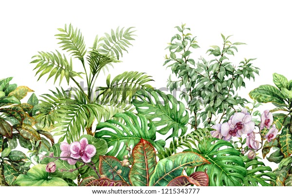熱帯植物の手描きの花と葉 白い背景に水彩のエキゾチックな緑の雨林の葉とピンクのランで作られたシームレスな線の水平パターン 無限の花柄の境界 のイラスト素材