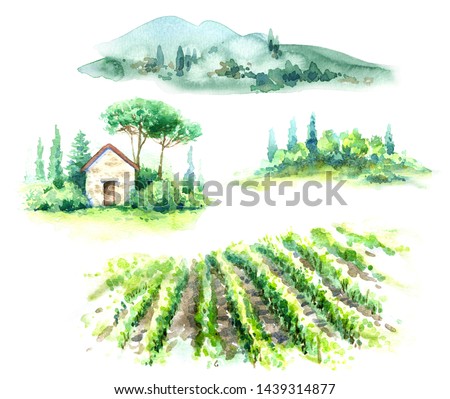 Hand drawn fragments of rural scene with vineyard, hill, trees and bushes watercolor sketch. Fragments of summer landscape.