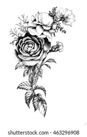 Black And White Rose Images Stock Photos Vectors