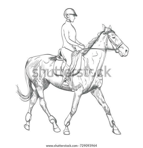 Hand Drawn Horse Riding Illustration On Stock Illustration 729093964