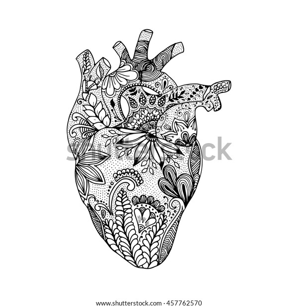 Hand Drawn Human Heart Isolated Hand Stock Illustration 457762570