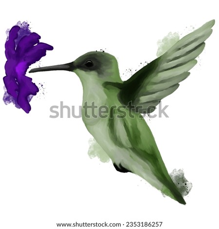 Hand drawn, hummingbird with purple flower