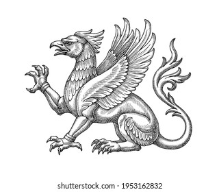 Hand Drawn Illlustration In The Engraving Style, Symbolical Medieval Winged Griffin .