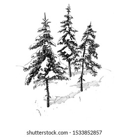 Hand Drawn Illustration Christmas Trees Forest Stock Illustration 