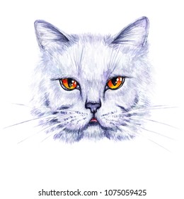 Hand Drawn Illustration Isolated On White Background Watercolor Portrait Of A British Cat Design